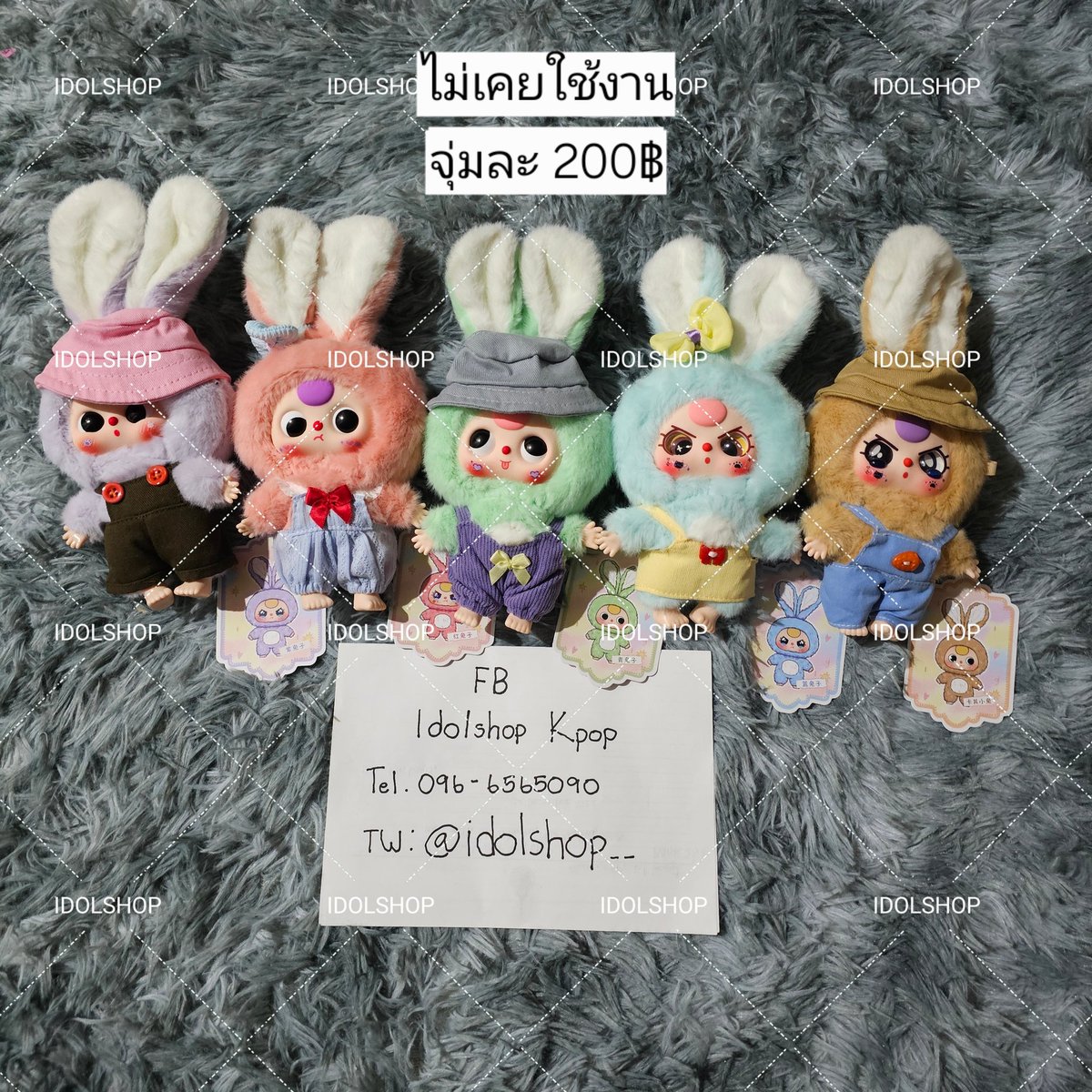 𝙸𝙳𝙾𝙻𝚂𝙷𝙾𝙿 ft.รับพรี kpop ทุกวง tweet media