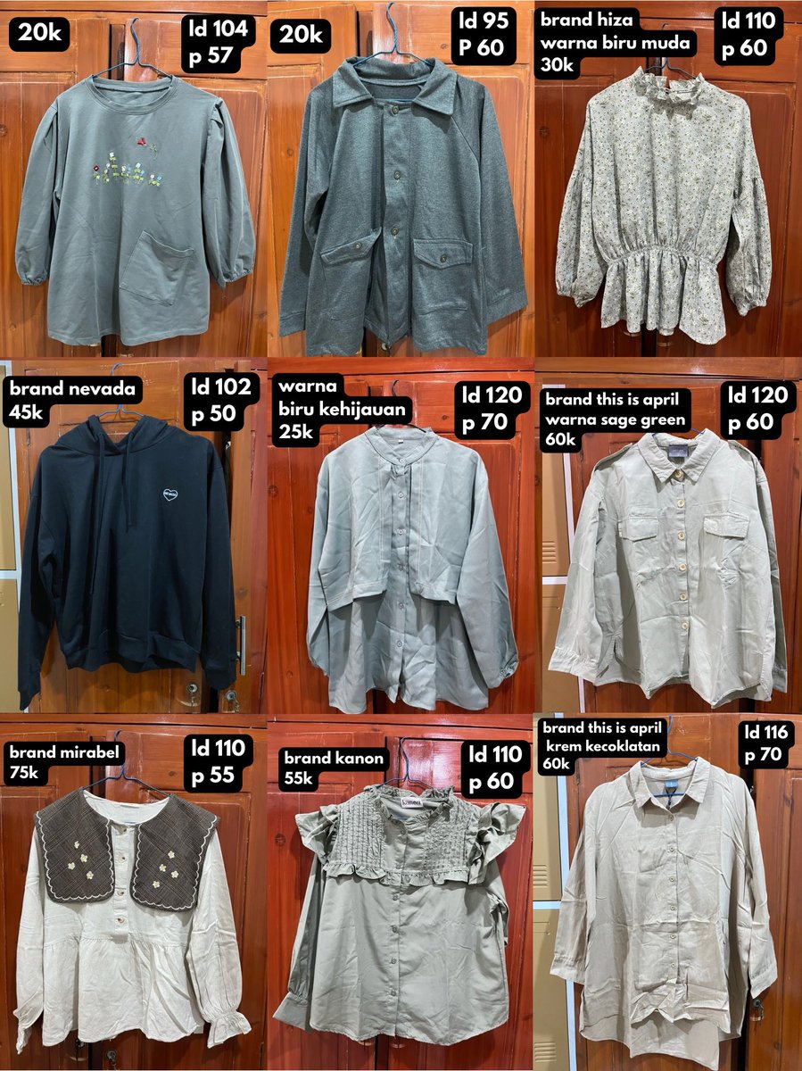 bear 🐻 tweet media