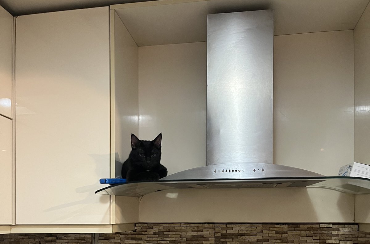 صَ🌱با tweet media