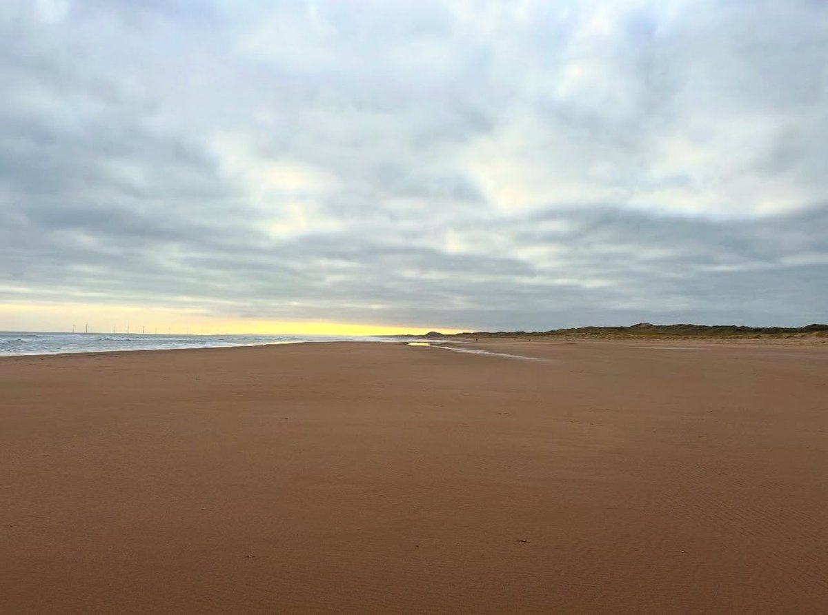 laura_skaife's tweet image. One of my favourite things #emptybeach #sundaysteps