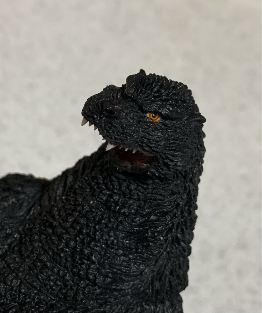 TOM (@Tom510h312k) / Posts / X