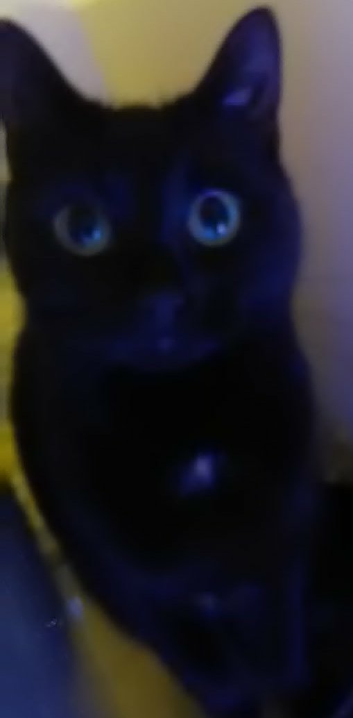 GeniusMeYes tweet media