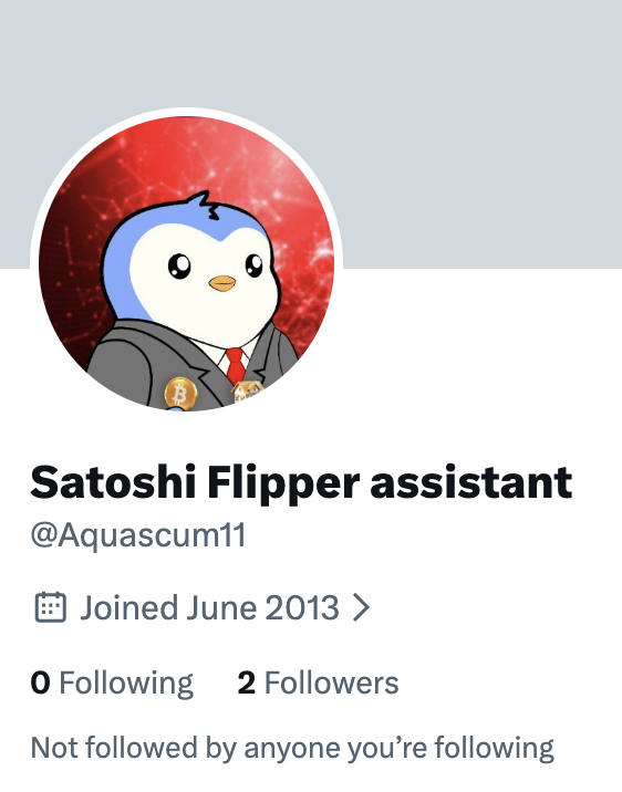 Satoshi Flipper tweet media