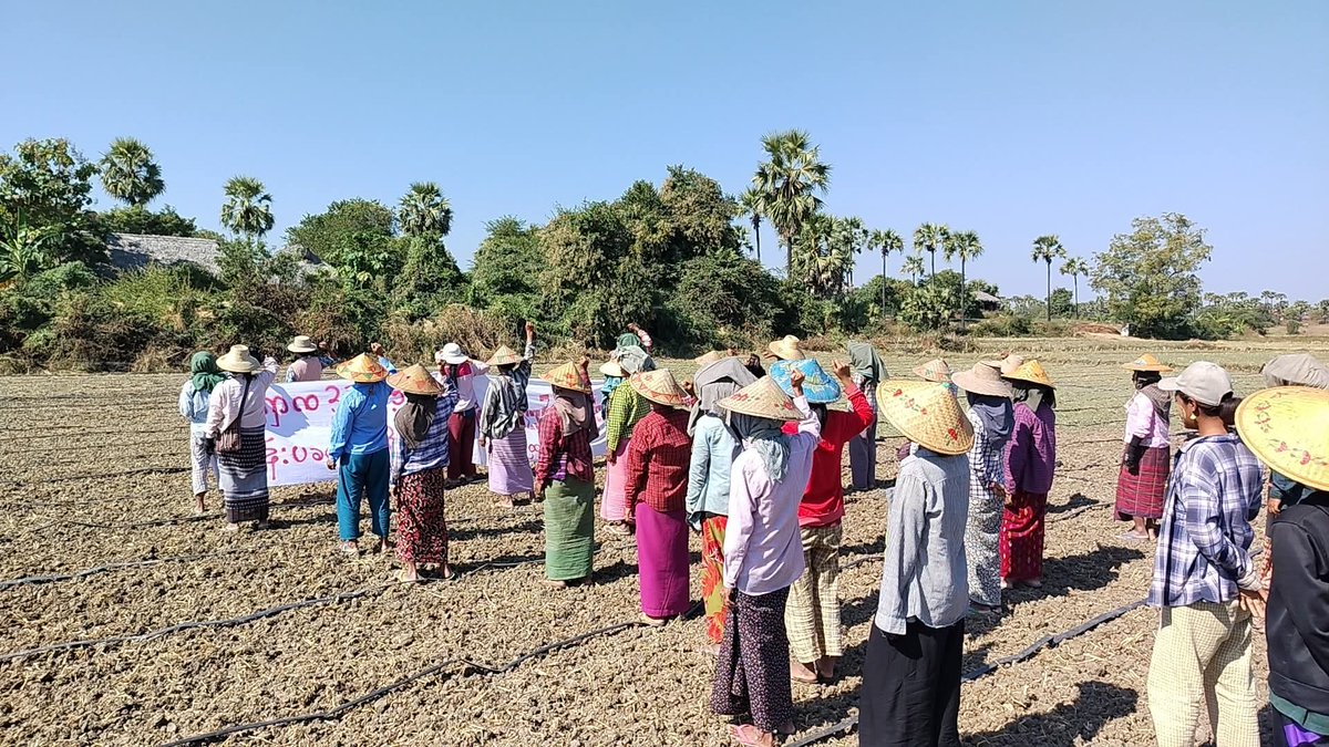 Farmers turned protesters in Sagaing Region. The Daung Thway Ni column demonstrated against the junta's sham election, vowing to fly a victory flag over the illegitimate regime change. Their message: "Don't legalize murder with your vote."

#2025Dec28Coup
#WhatsHappeningInMyanmar