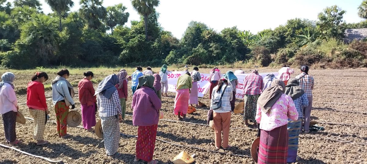 naingnaingaung's tweet photo. Farmers turned protesters in Sagaing Region. The Daung Thway Ni column demonstrated against the junta's sham election, vowing to fly a victory flag over the illegitimate regime change. Their message: "Don't legalize murder with your vote."

#2025Dec28Coup
#WhatsHappeningInMyanmar https://t.co/hACV79AueT