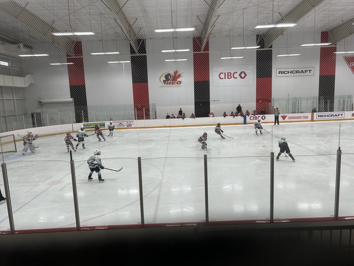 Jenn Primeau tweet media