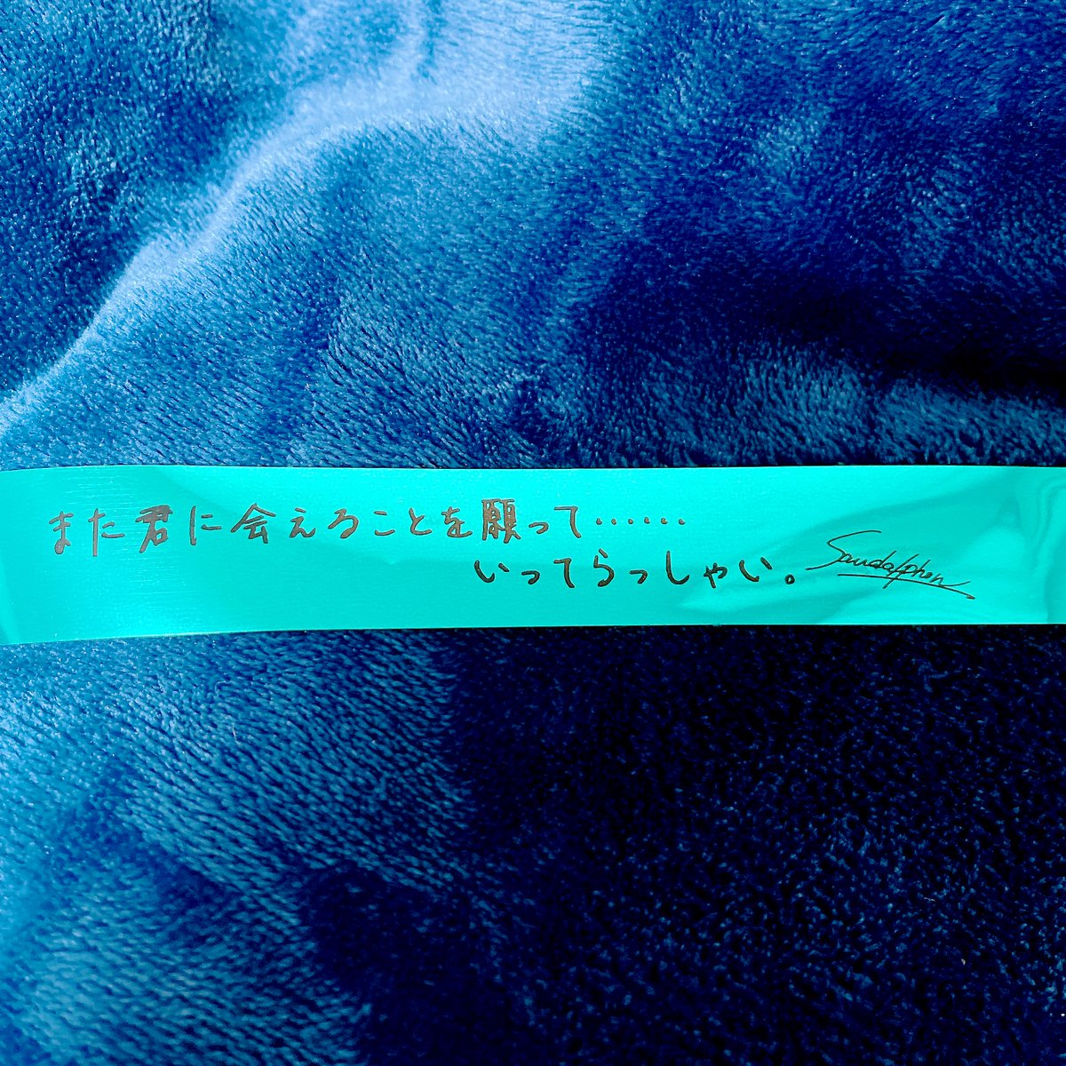 すぴか tweet media