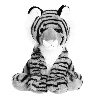 Seth Augenstein tweet media