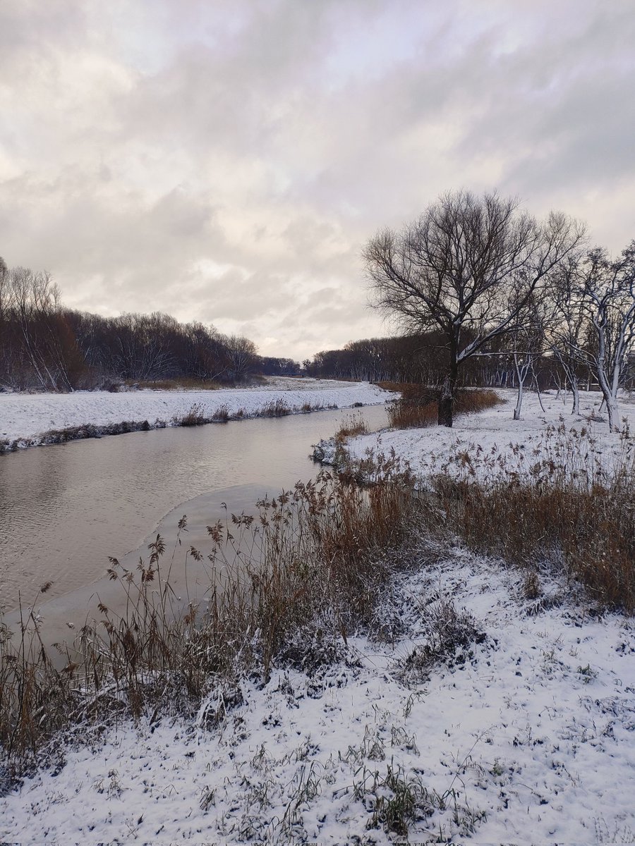 yonabeef's tweet image. 