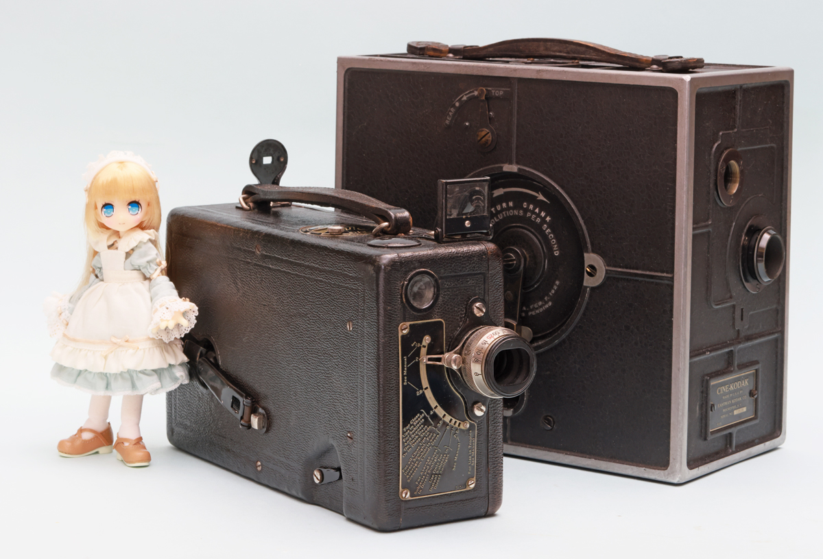 miffy (@miffy49807671) / Posts / X