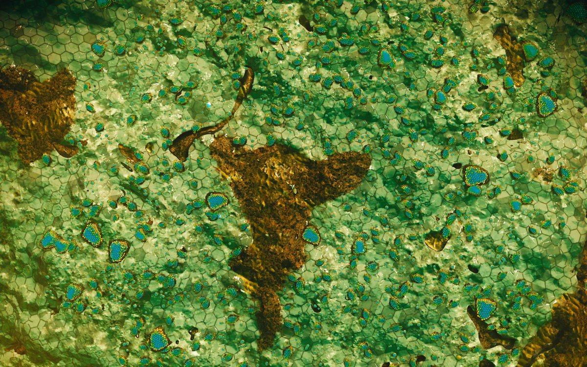 khfadfvalkdjfagf tweet media