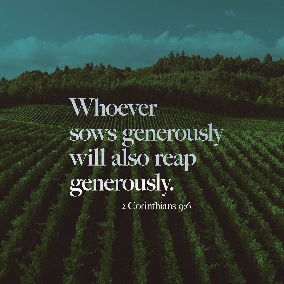 Rochide's tweet image. 2 Corinthians 9:6 NLT
[6] Remember this—a farmer who plants only a few seeds will get a small crop. But the one who plants generously will get a generous crop. 

bible.com/bible/116/2co.…
