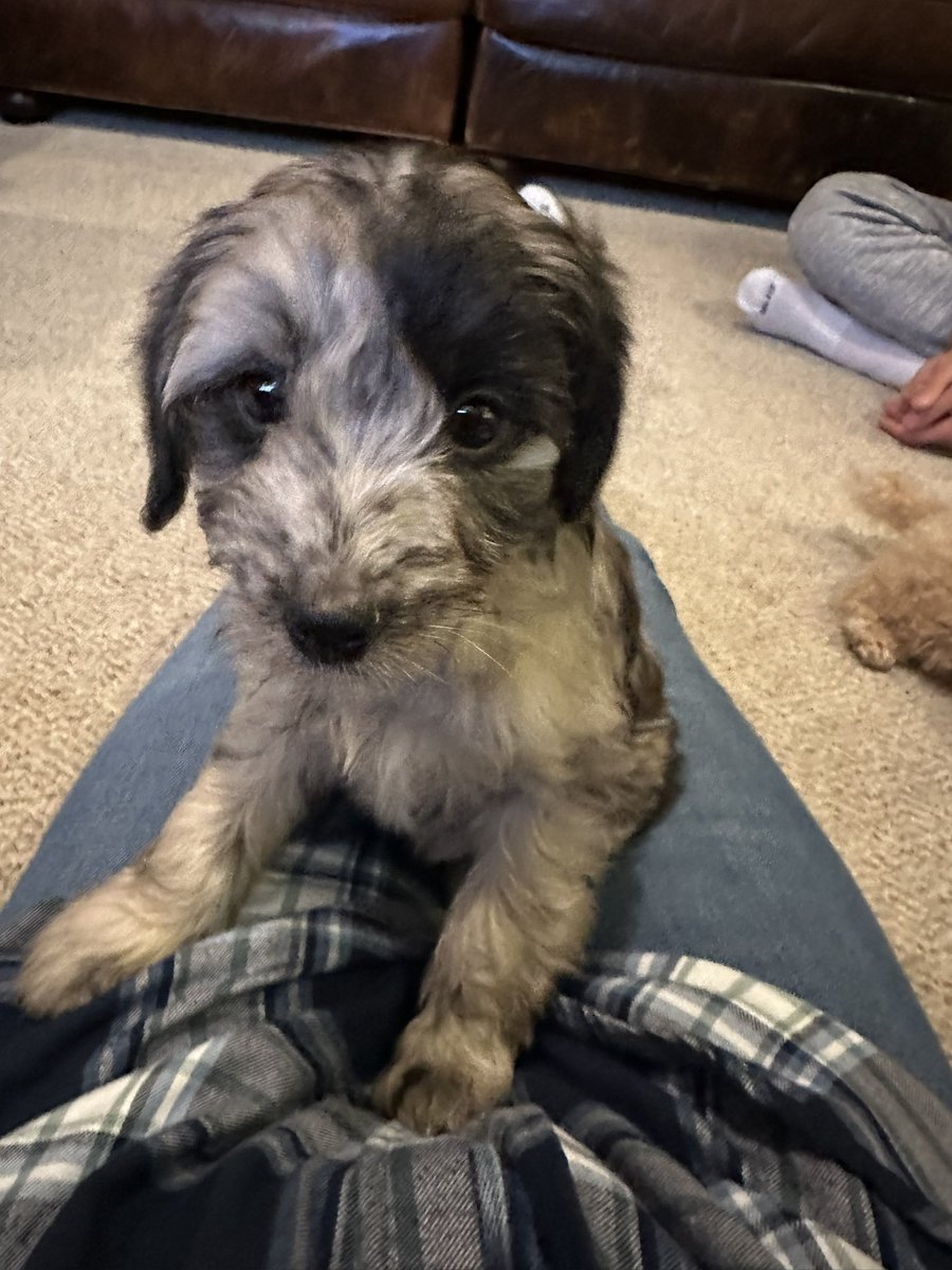 soupcaroline 🥣 tweet media