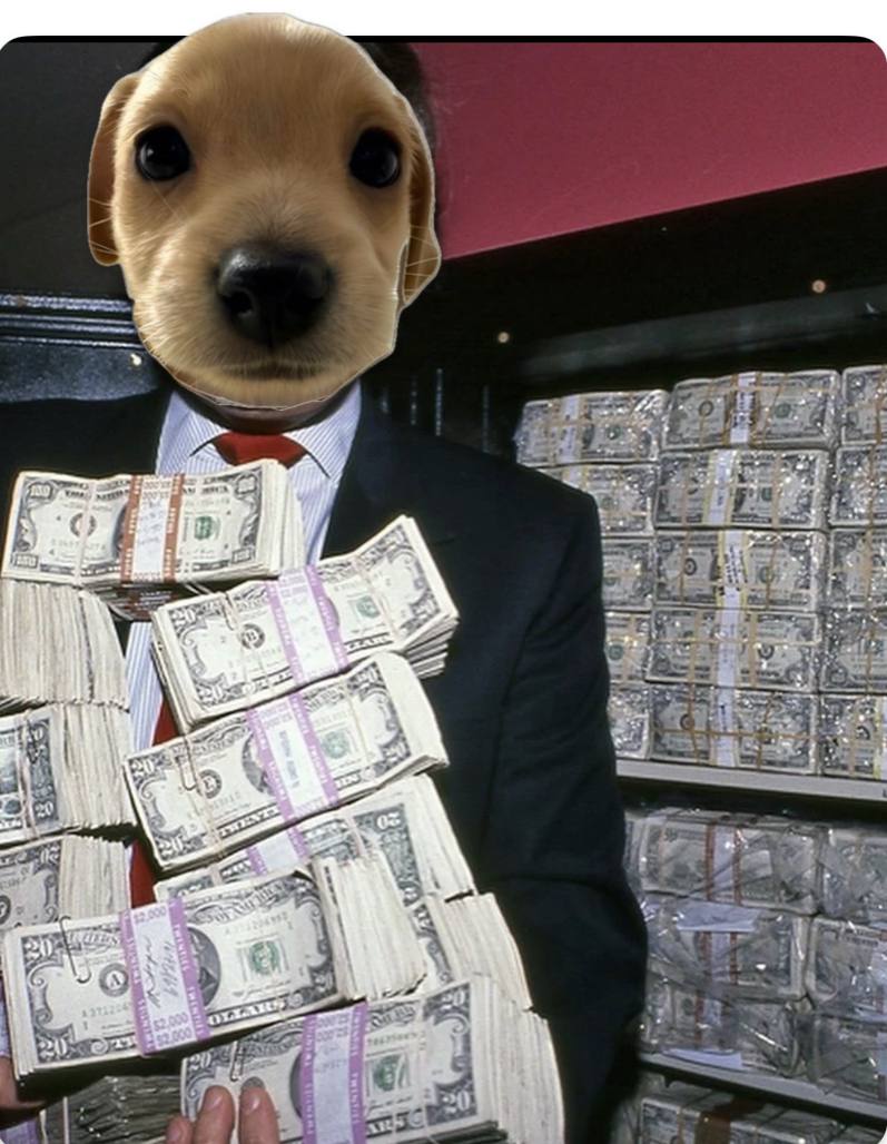 <a href="/elonmusk/">Elon Musk</a> <a href="/nickshirleyy/">Nick shirley</a> Lmao elon always 🤣