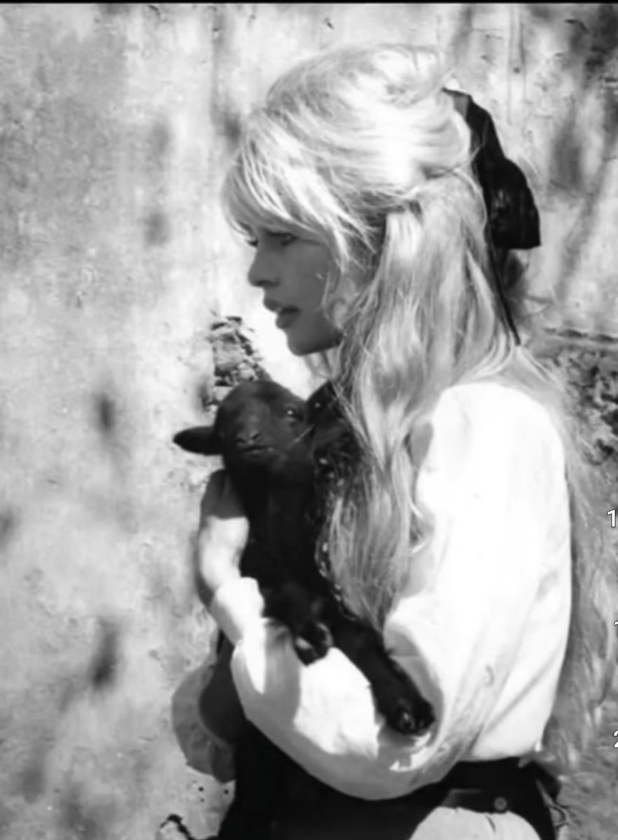 😾😼PREVEL😾😼 tweet media