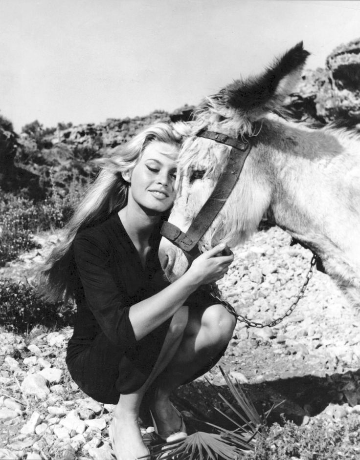 Brigitte Bardot n’était pas parfaite.
Personne ne l’est !
J’en ai assez de lire ces commentaires horribles à son sujet.Une honte!
Elle est décédée, et certains continuent de cracher leur venin…
Vous pourrez la juger quand vous aurez fait autant de bien qu'elle sur cette terre 🫶