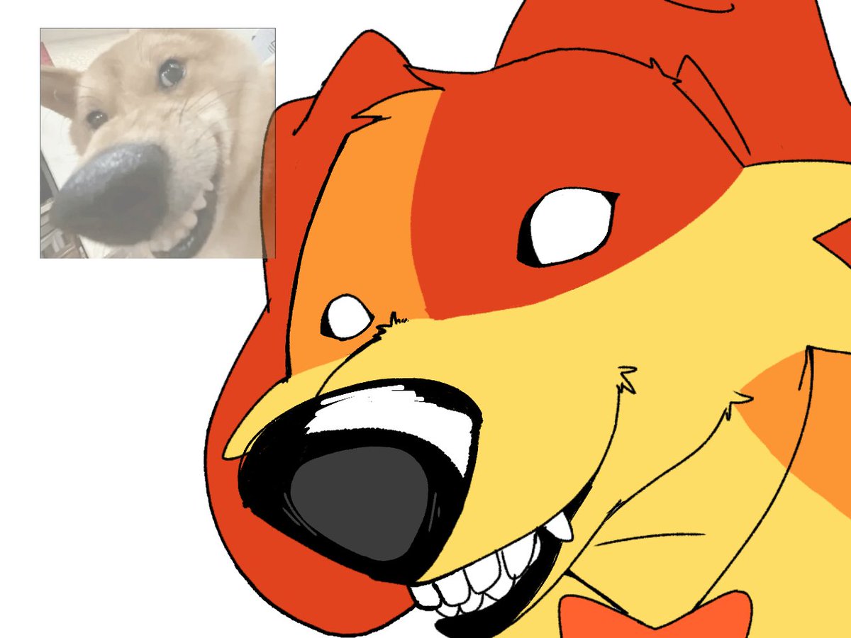 Paulo75652968's tweet image. 👀