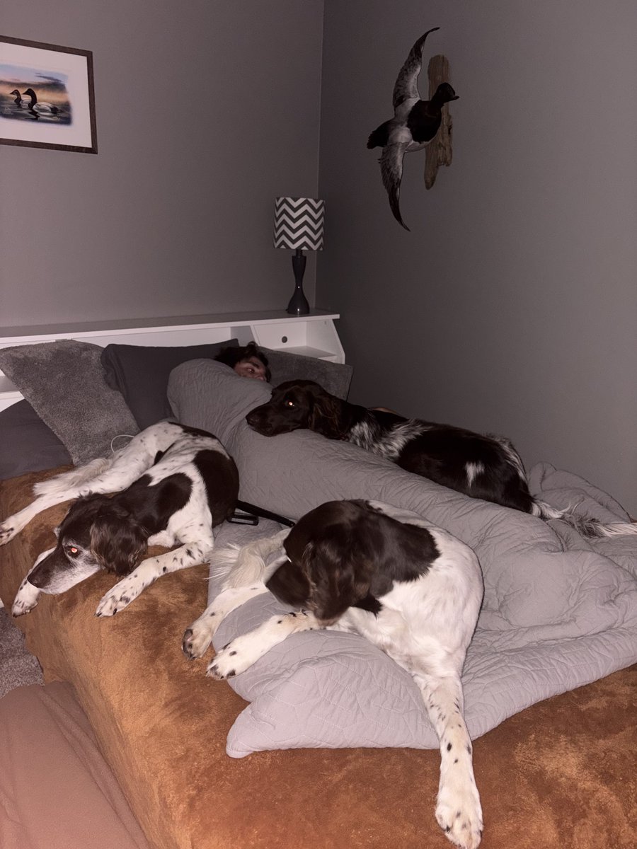 Jason Reitmeier tweet media