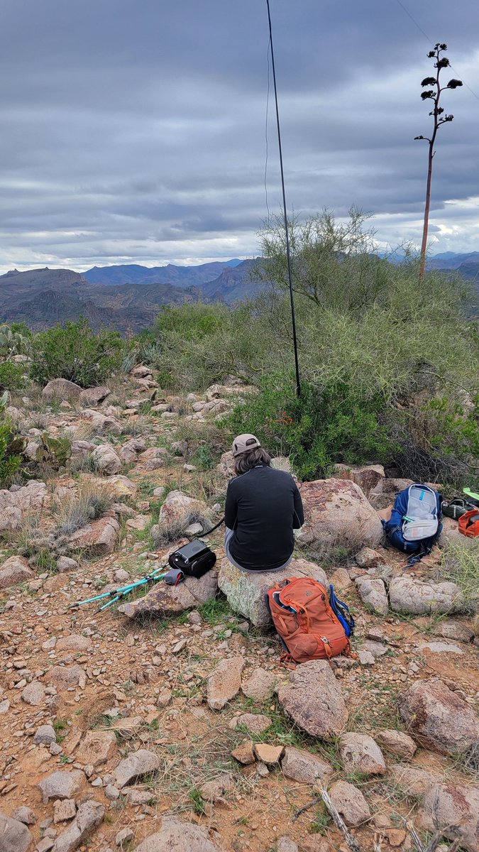 Charlie NJ7V tweet media