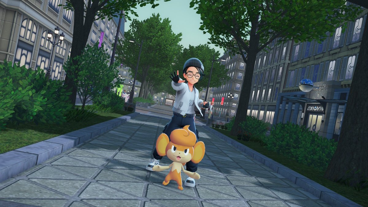 Professor Conifer 🌲 tweet media