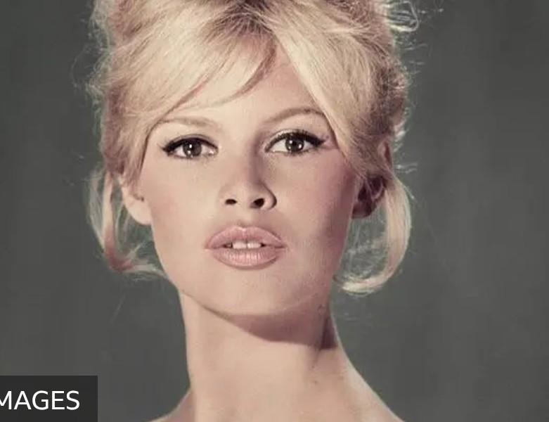 jetchegaray tweet media