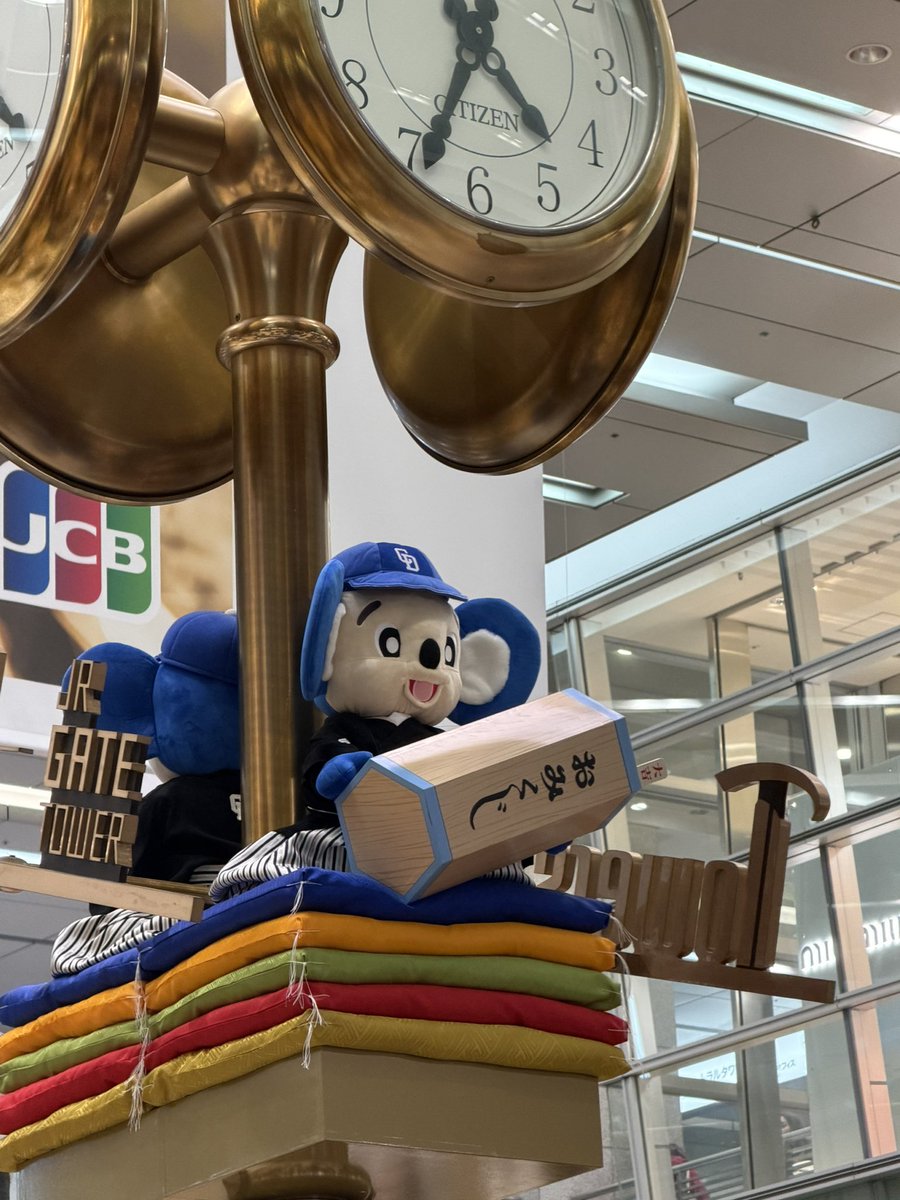 かわいかったなードアラさん🐨💓