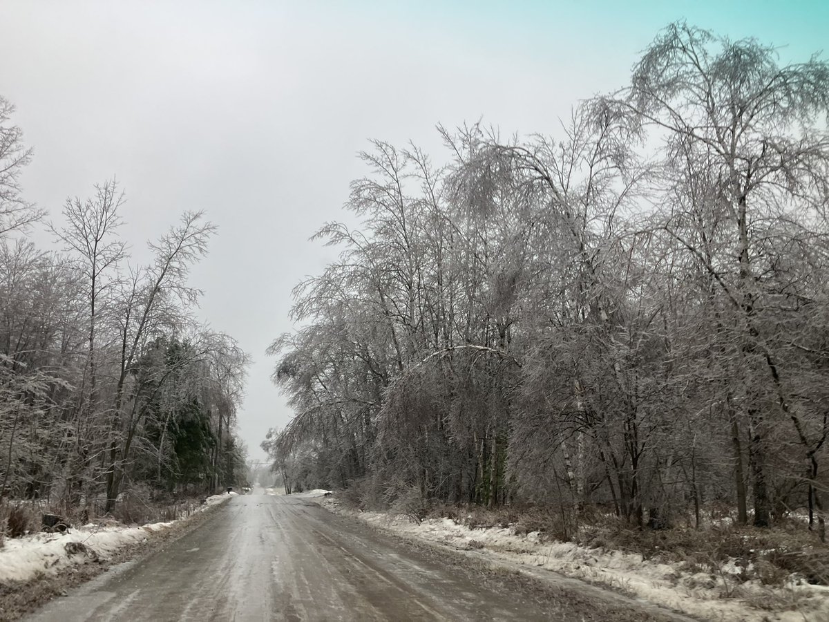 Powerlines and trees have almost a half inch of ice on them. Winds have been calm so far, but the forecast is for 50 mile an hour gust later today. This is gonna be an epic disaster.