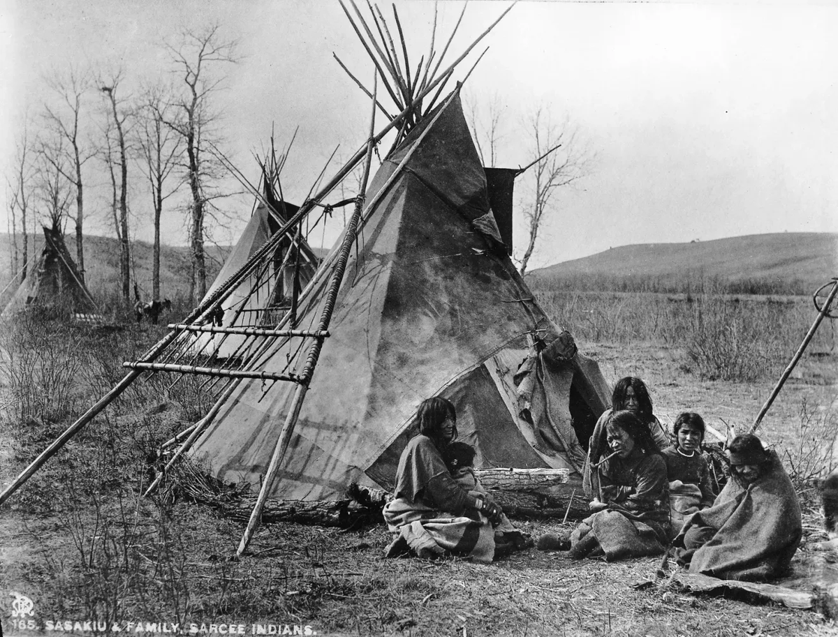 GFrei.News tweet media