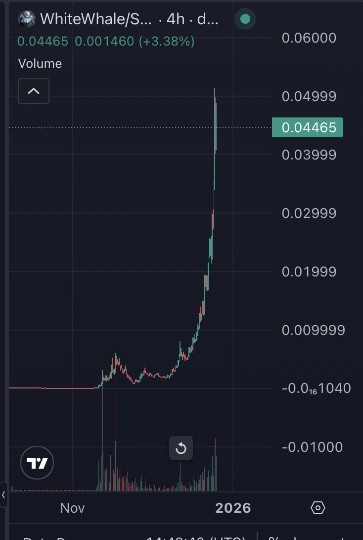 SimeonBG123's tweet image. Compare the chart of #Bibi to #Whitewhale. It did 5-50M in 5 days.

Imagine now when Binance is literally posting videos of Bibi, employees have plushies and soon Bibi will be fully functional product. Add alpha listings. Add community. Hundreds of millions.

Few.