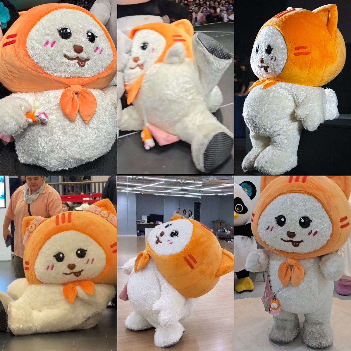 navy_yyy25's tweet image. นี่คือน้องเมิฟเมิฟหลานของฉัน ขนฟู ตัวหอม พุงเต่ง ไม่มีคอ เท้าดำ มอมทุกงาน แต่ยังน่ารักและเป็นตัวจิ๋วในสายตามี้และมะมี้

#MUVMUV