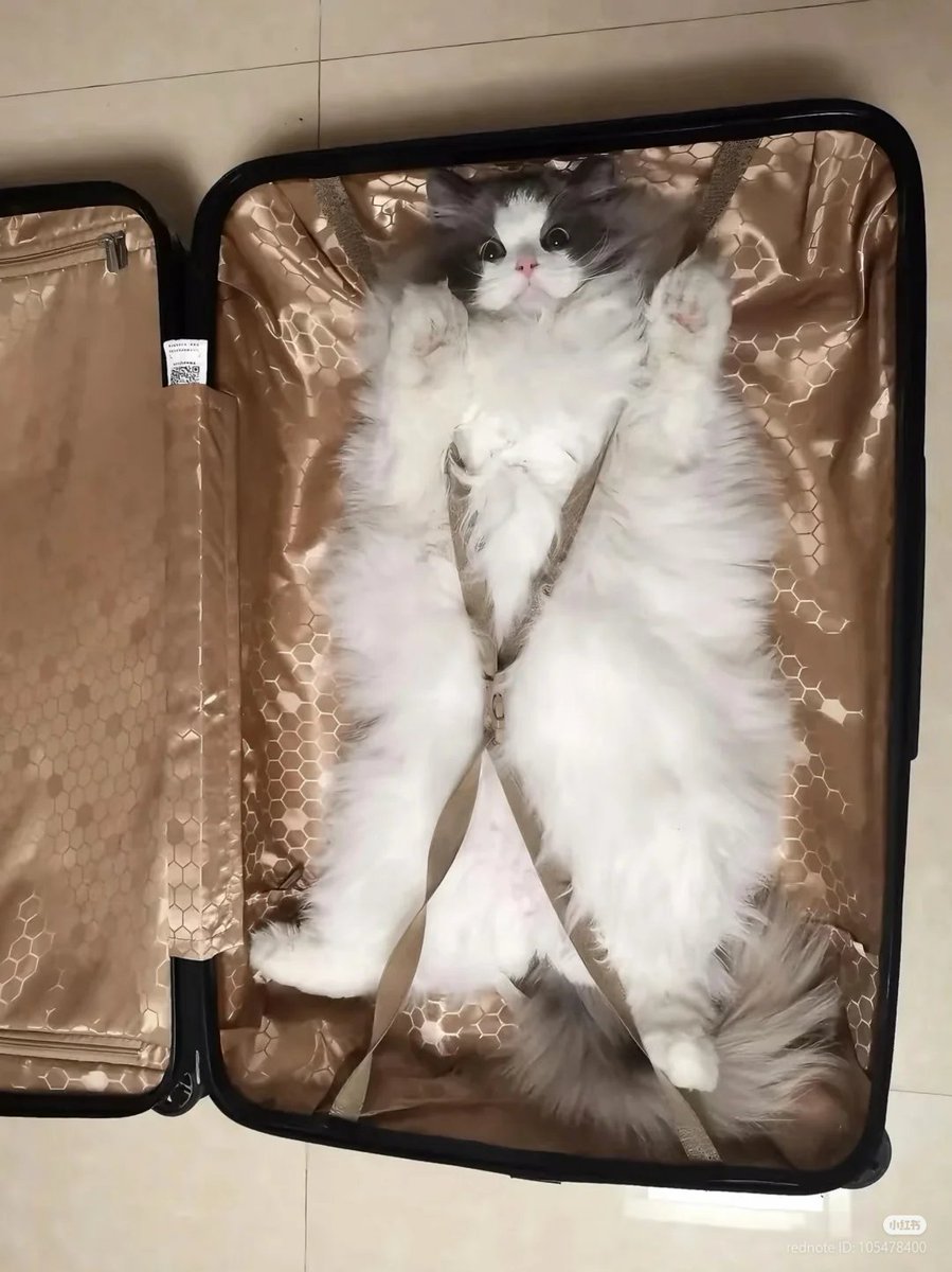 Mom: "bring only what u need"
Me: "got it"