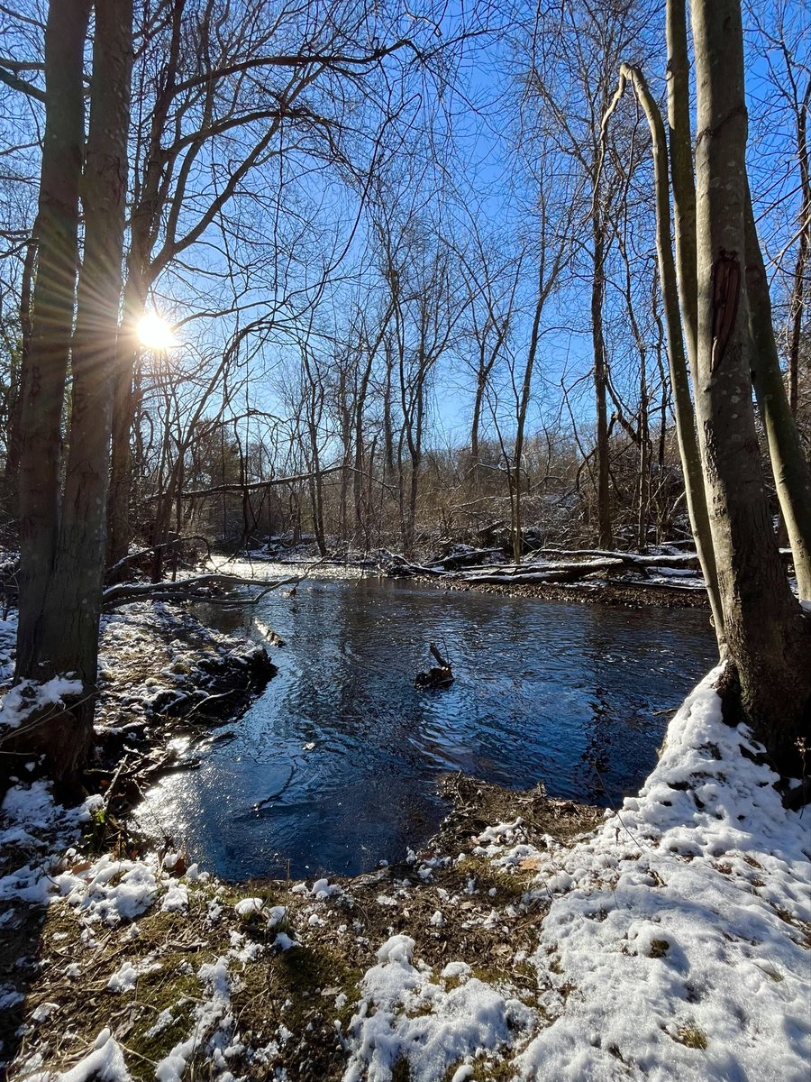 feli_casey's tweet image. Morning ~ hope you enjoy your day❤️