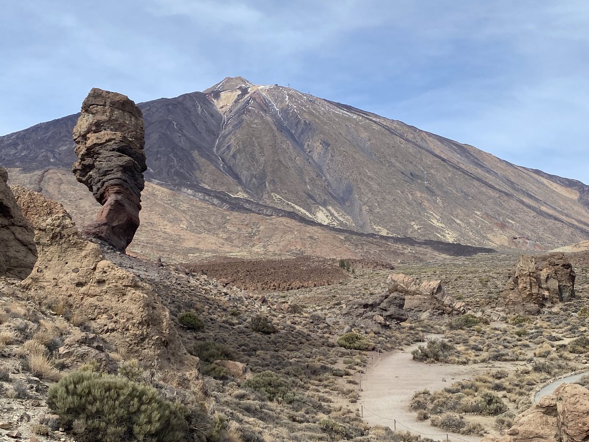 Gerard Sheehy tweet media