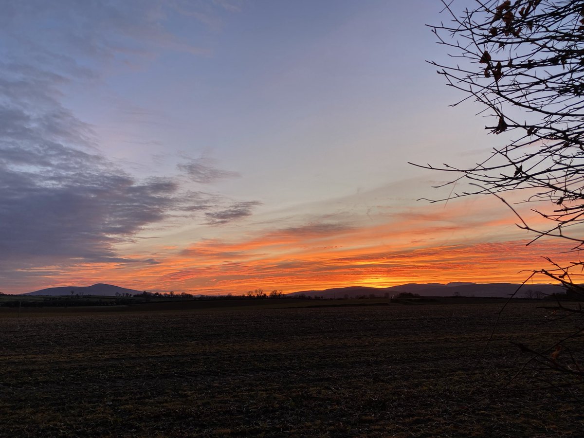 Gerard Sheehy tweet media