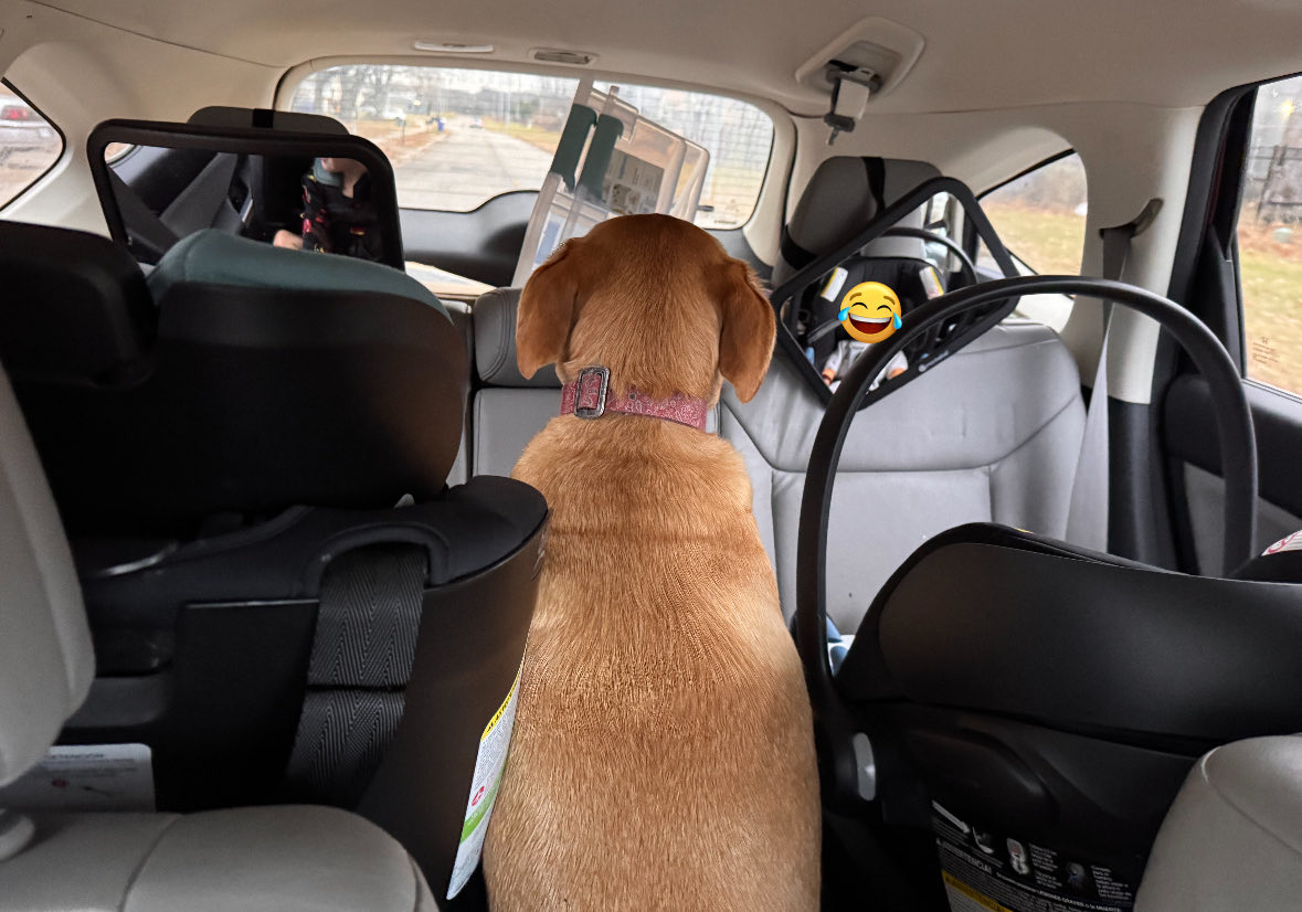 thecavemommy's tweet image. Why is she rear facing with the boys 😂😂😂😂😂😂 She’s like “idk why we’re all facing this way but I’m down” lmaoooooo