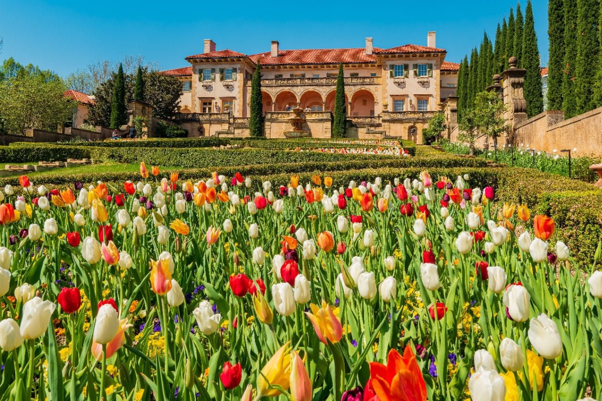 TraveloffPath's tweet image. These 2 Surprising Southern Cities Have Become Must-Visit Destinations, According To Local Experts
👇
traveloffpath.com/these-2-surpri…