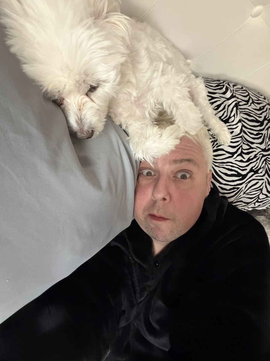 Only in my world could you wake up startled wondering "Did I sleep in my wig or is there a dog in my hair?" and not be considered nuts.  🤪
