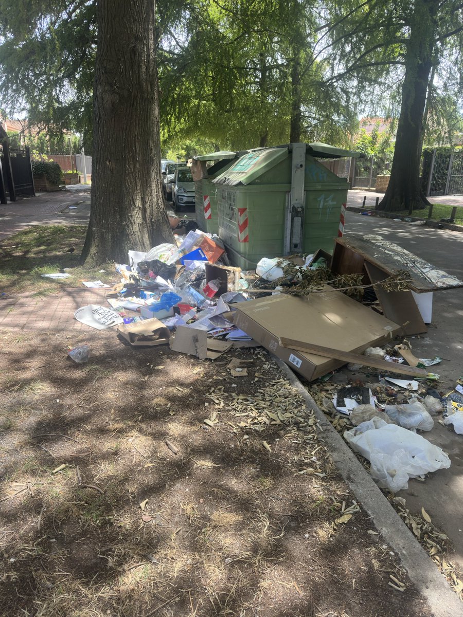 Iban a mejorar el tema de la basura?!? Esperemos otro año más!!! 
Este año 3 veces por semana mandando mensaje a la IMM para que limpien la mugre fuera del contenedor.