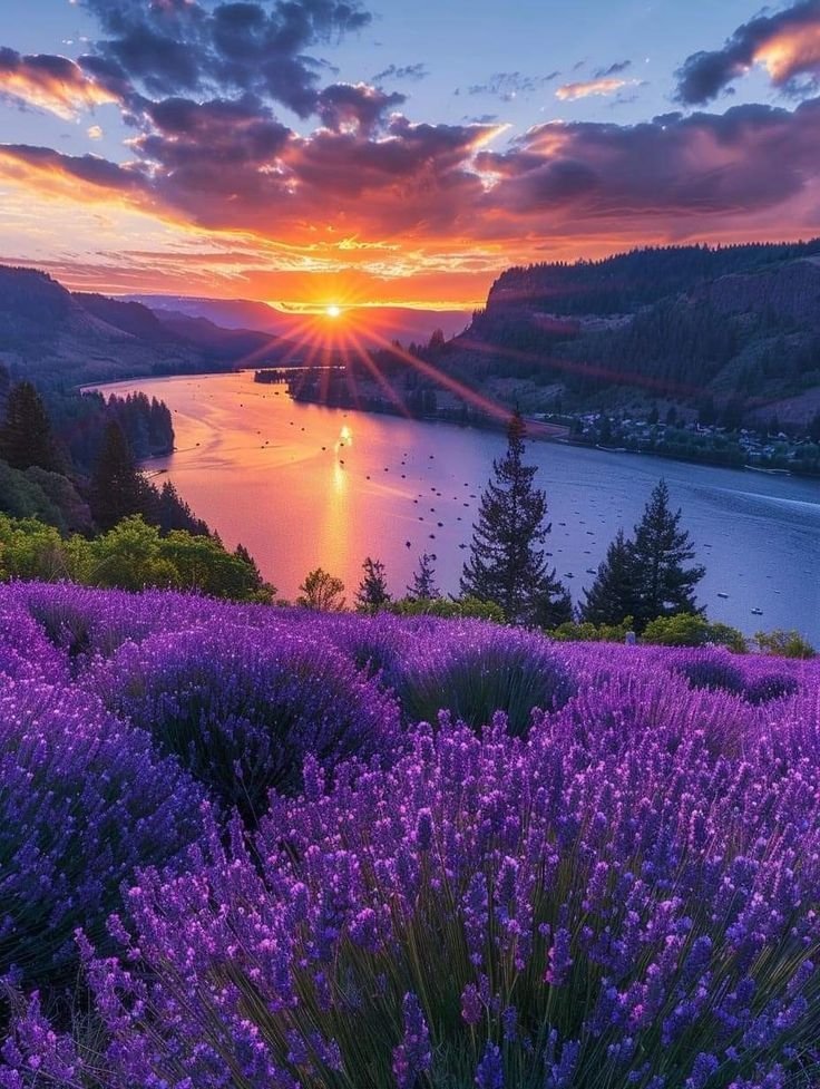 Aesthetics (@aestheticspost_) on Twitter photo 