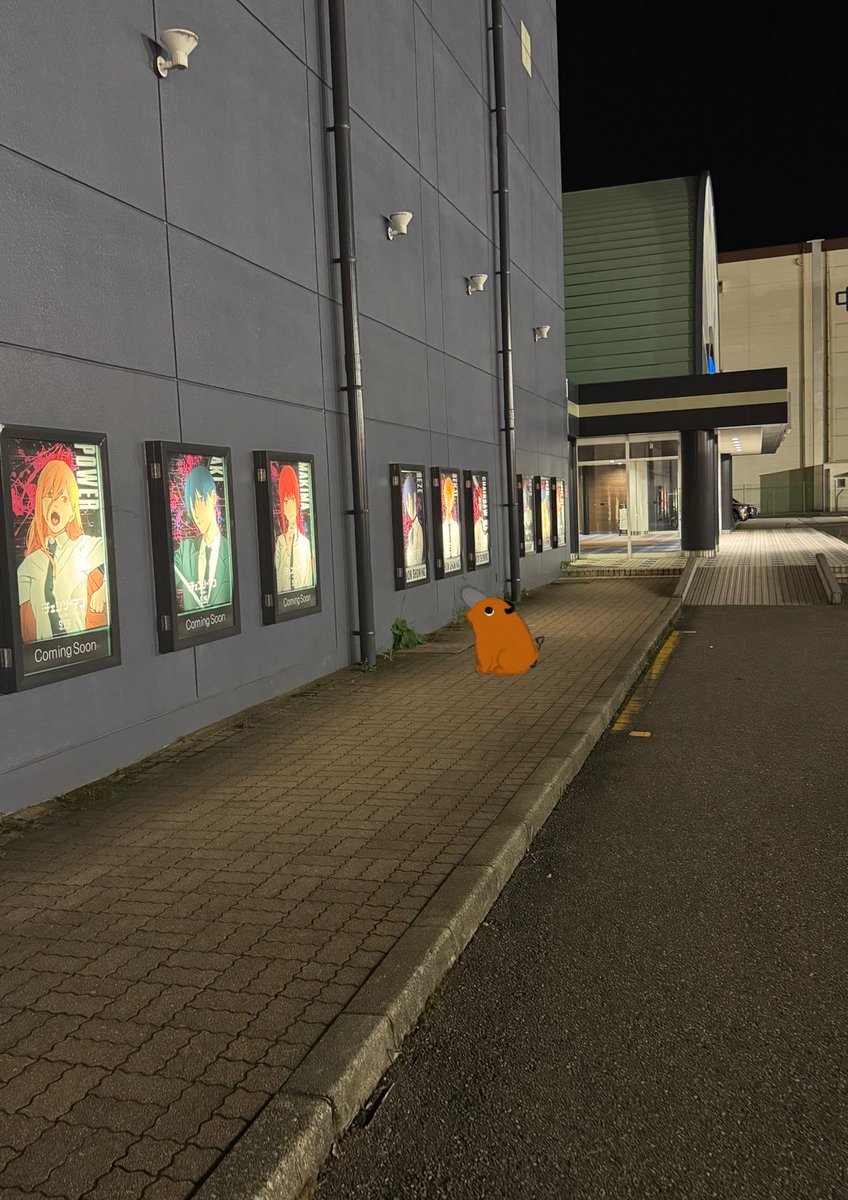 ポチ (@pochita0808) on Twitter photo 