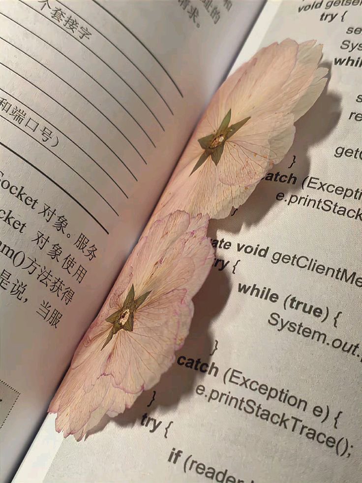 prtygal777's tweet image. In another life we’re 2 pressed flowers in a book