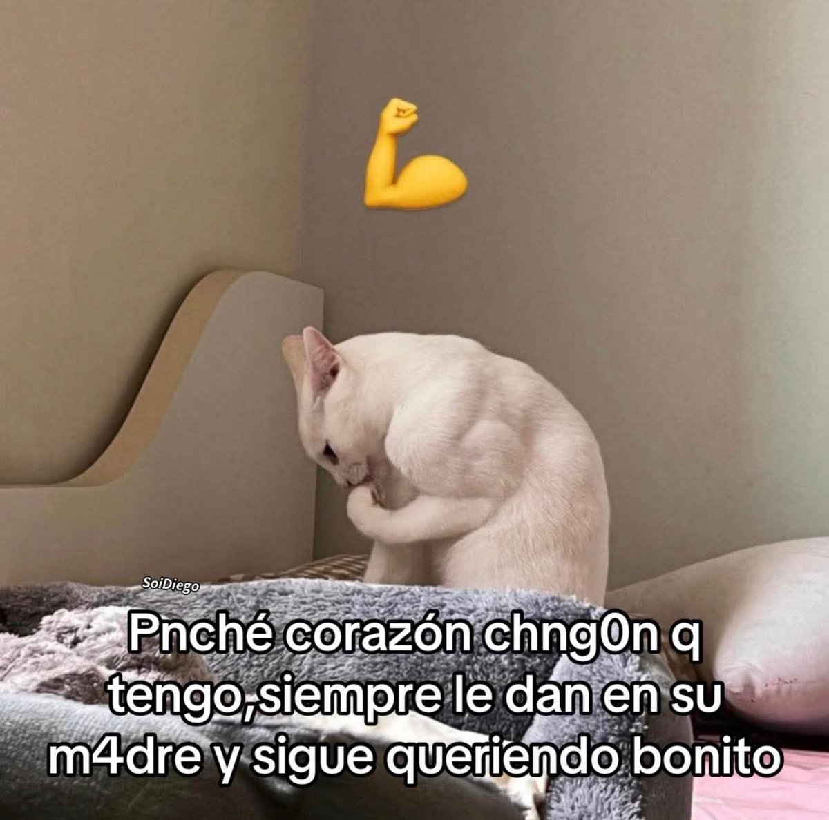 Animalitos en aprietos. tweet media