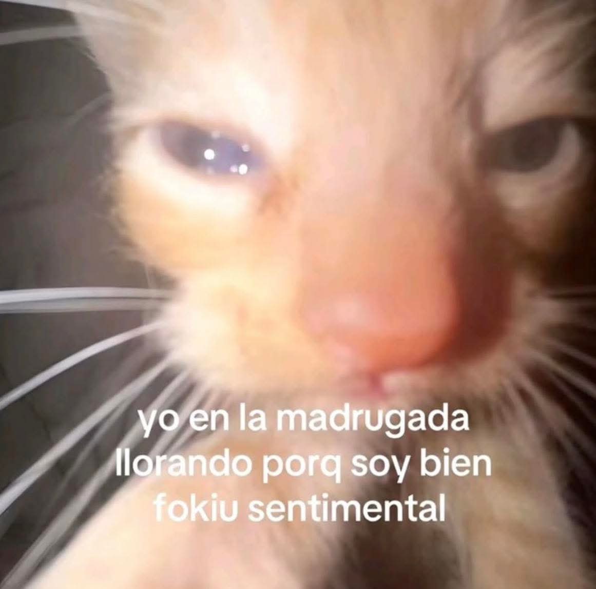 M O T I V A N D O T E (@m0tivand0te) on Twitter photo 