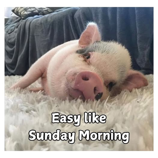 RowanCreates's tweet image. 