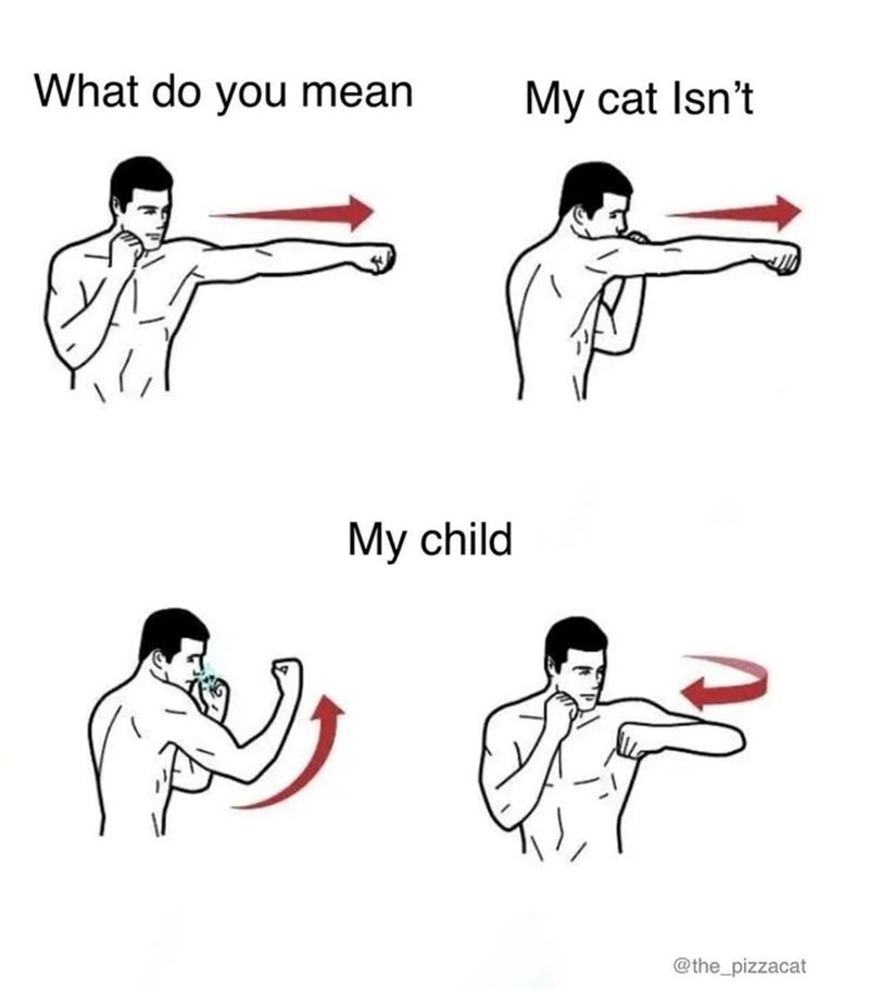 TweetsOfCats's tweet image. 