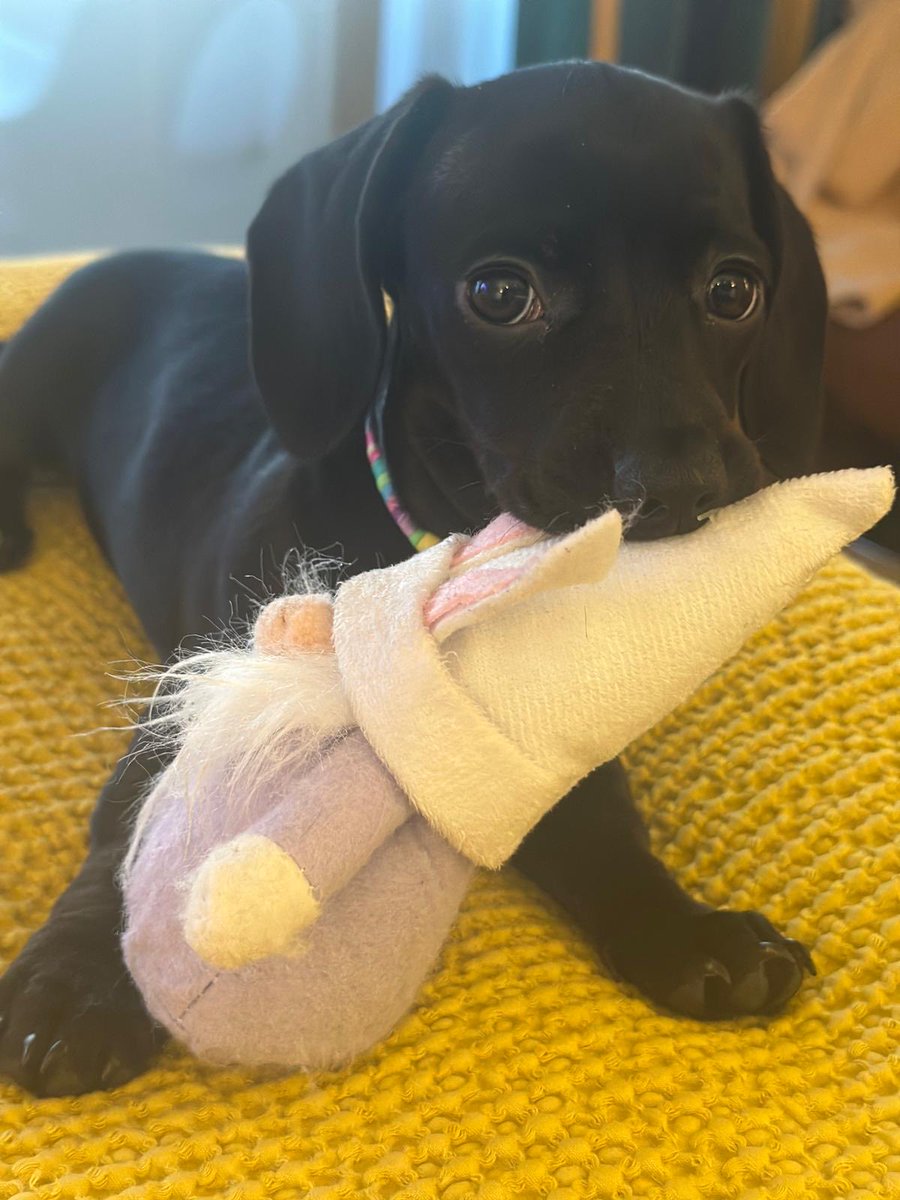 Sophia Myles tweet media