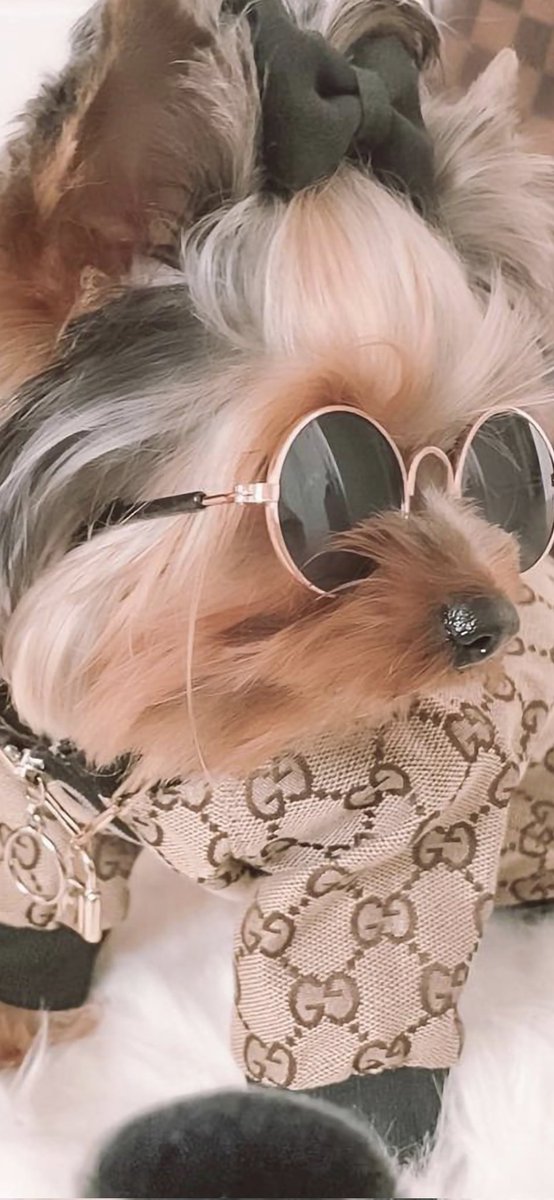 今晩は明日12月29日仕事多忙な為Xをお休みさせて頂きます🙇いいねリポストしないで下さい🙇お返しもしませんどうぞよろしくお願いいたします🙇今日も1日ありがとうございました