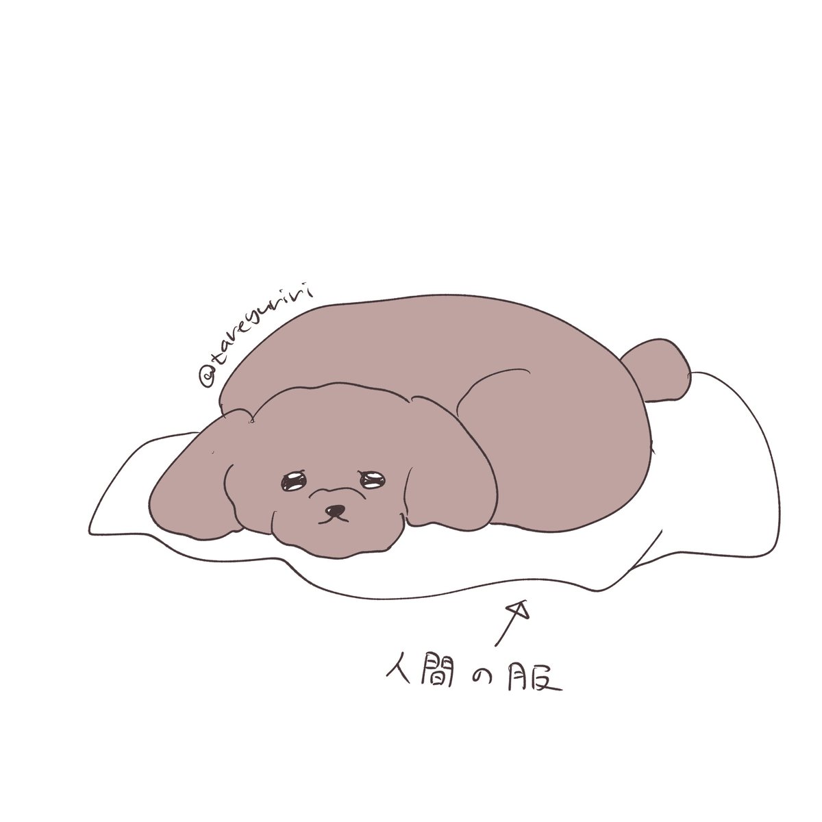 🐾

これはうちの犬の絵たちです 