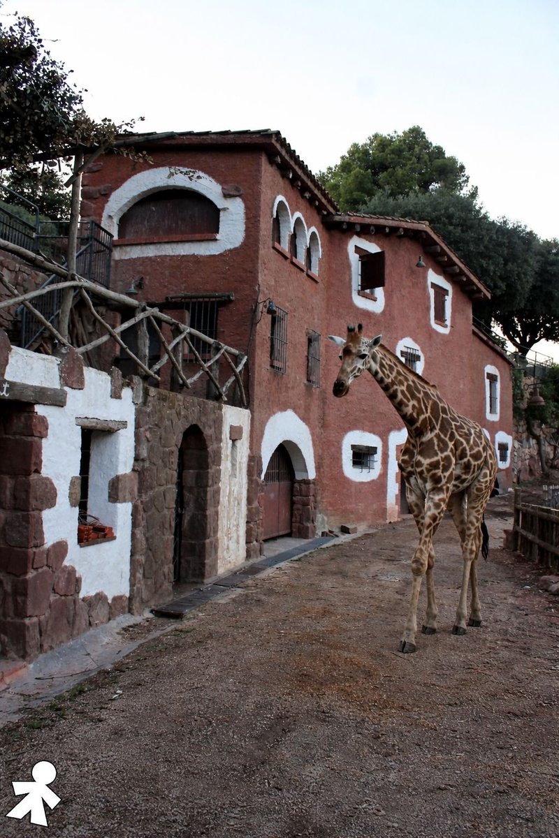 Pessebre Corbera tweet media