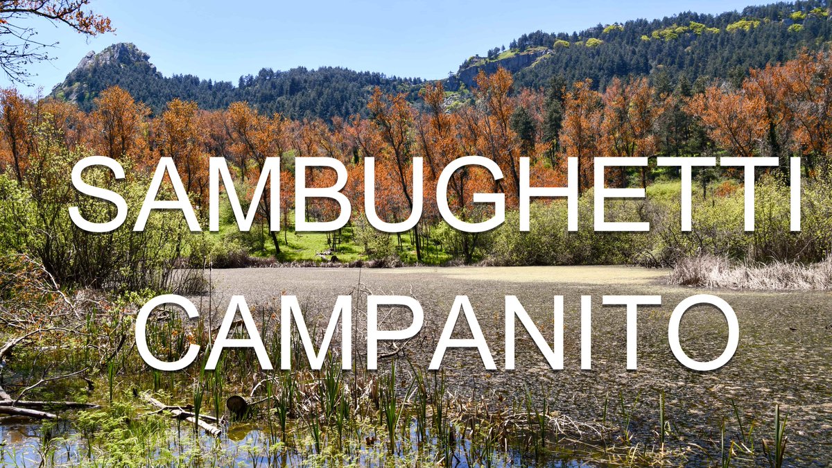 Andy1803DS's tweet photo. The Natural Reserve Sambughetti Campanito is an hidden paradise in the earth of  Sicily with its two mountain lakes and an incredible biological diversity.
Ideal for a nature excursion.
https://t.co/rkK3sjAdU0 https://t.co/iPjsOPmQHc